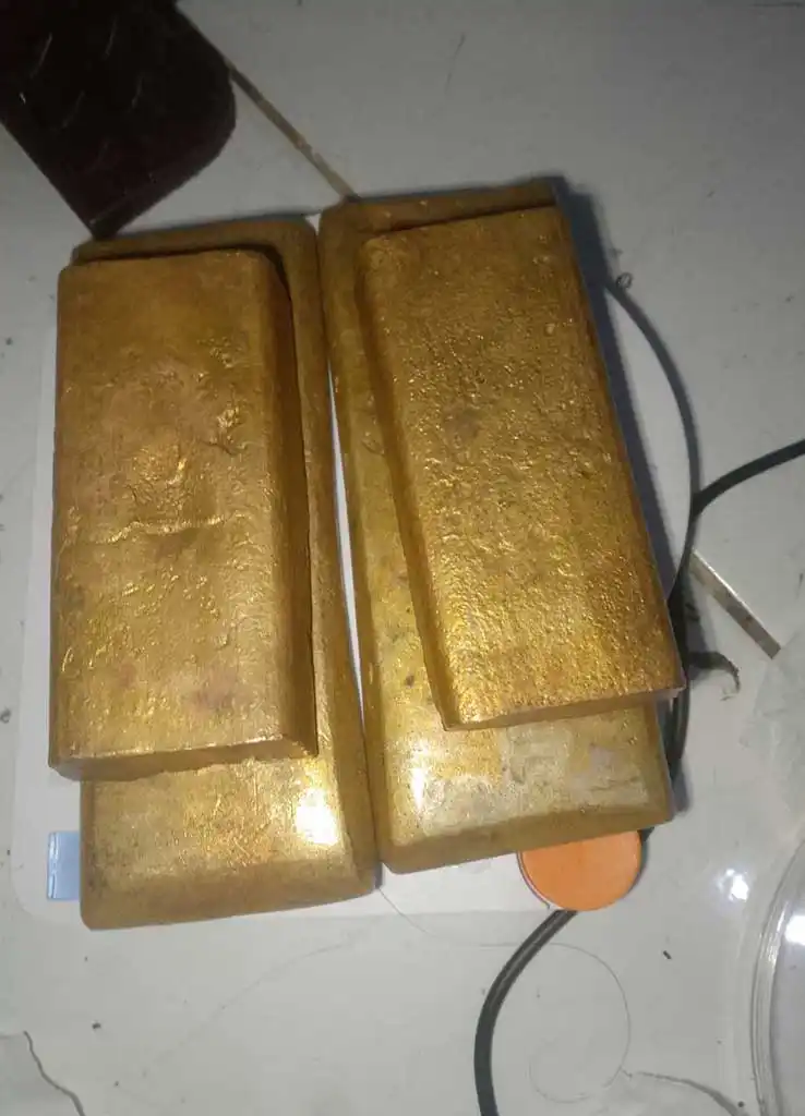 Dragon Gold Papua 29